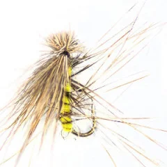Zite Fishing Trockenfliegen Fliegenfischen Köder Set 8 Stück - Fertig gebunden