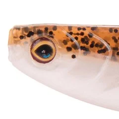 Inzite Pershad Classic Brownie 8 cm 7 STK Gummiköder Barsch - Realistisches 3D-Auge für maximale Bissprovokation
