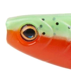 Inzite Pershad Green Tomato 8 cm 7 STK Gummiköder Barsch - Realistisches 3D-Auge für maximale Bissprovokation