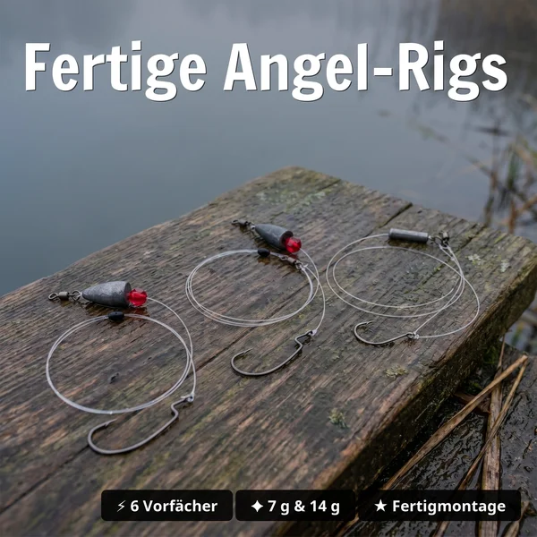 Zite Fishing Inzite Braw Starterbox – 30 Gummiköder 10,5 cm + 6 Fertigvorfächer für Barsch & Zander - Fertige Angel-Rigs