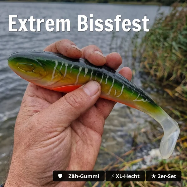 Zite Fishing Gummifisch Inzite Flanker Flashy Pike 23,5 cm – Großhecht Köder im 2er Pack - Extrem Bissfest