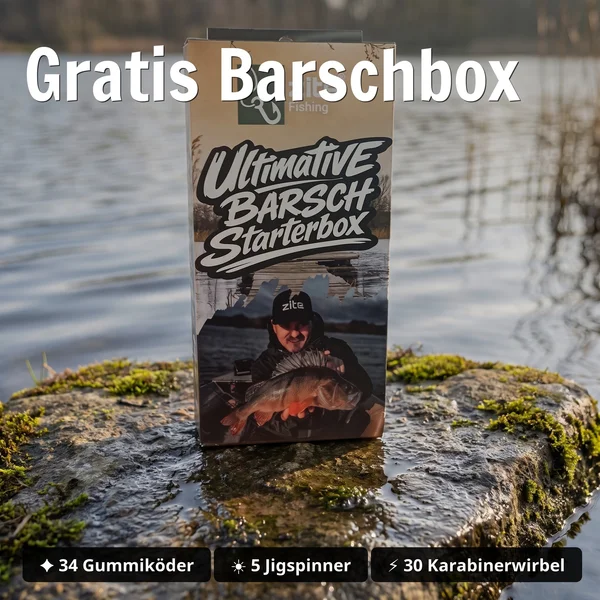 Barsch Angelset Komplett: Spinnrute 2,25 m + Rolle Base 2000 bespult + Rutentasche 1,30 m + Starterbox GRATIS - Gratis Barschbox