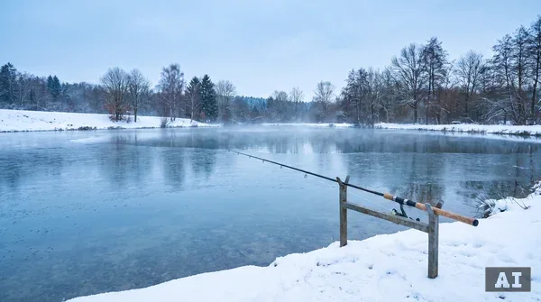 Forellen angeln im Winter: Worauf muss man achten?