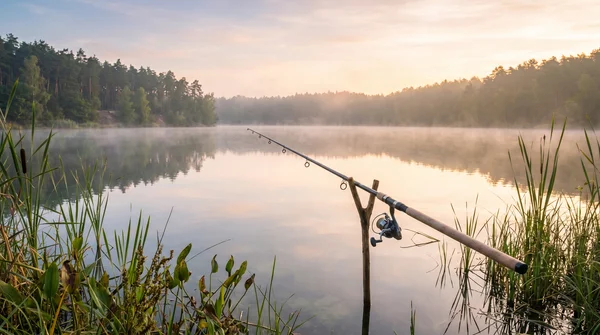 Welche Rute für Sbirolino? Der ultimative Ratgeber für Forellenangler