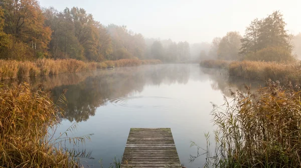 Wo stehen Forellen im Forellenteich? Standplätze finden