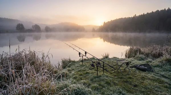 Was ist der beste Köderfisch für Zander? Tipps & Strategien