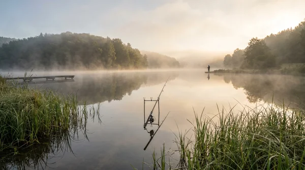Hecht angeln: Tipps und Ausrüstung für den Erfolg am Wasser