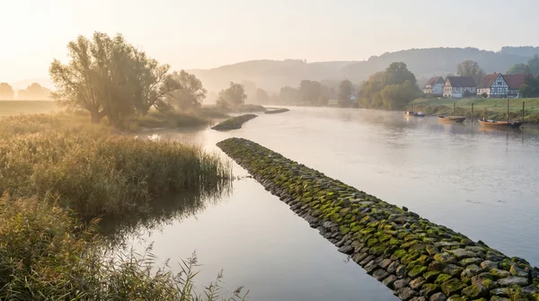 Zander: Alle Infos zum Zielfisch – Biologie, Tackle &amp; Tipps