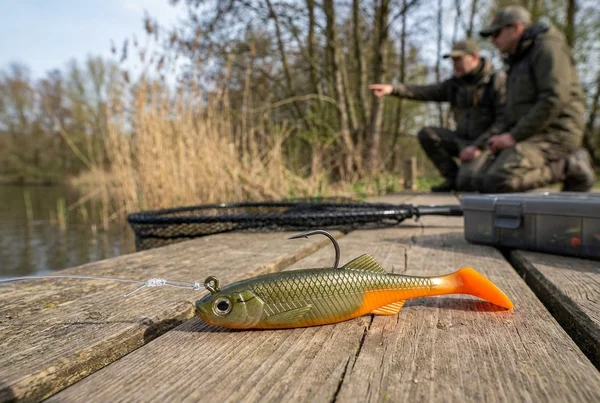 Barsch: Alle Infos zum Zielfisch – Detailansicht