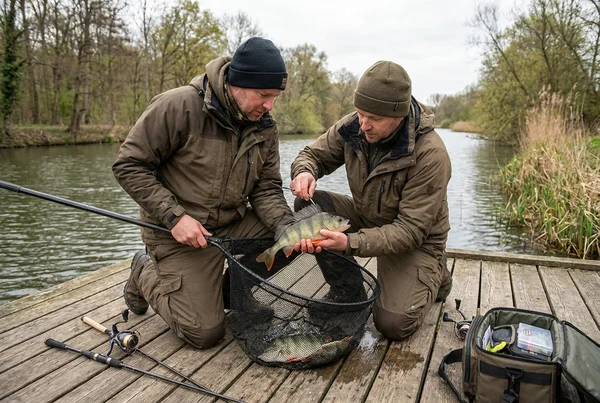 Barsch: Alle Infos zum Zielfisch in der Praxis