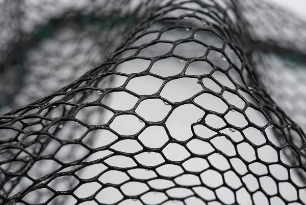 Fischschonend landen mit gummiertem kescher für einsteiger erklärt – Detailansicht
