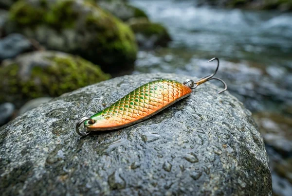 Forelle: Alle Infos zum Zielfisch – Detailansicht