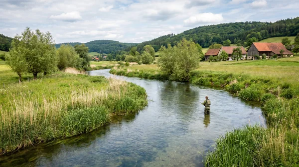 Forelle: Alles Wissenswerte über den beliebten Zielfisch