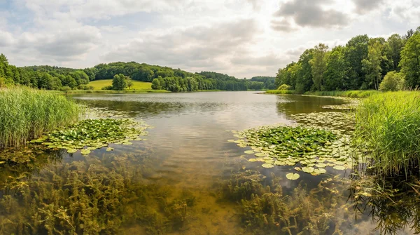 Barsch und Hecht im Sommer in krautigen Gewässern fangen