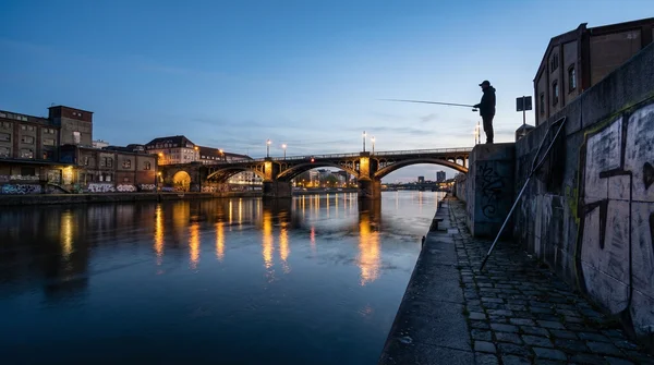 Teleskopkescher oder faltbarer Kescher? Der ultimative Vergleich für Streetfishing
