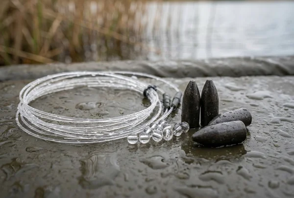 Wie Carolina Rig für Barsch im See richtig aufbauen – Detailansicht