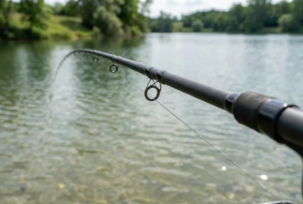 Wie jigspinner für barsch im see richtig führen – Detailansicht
