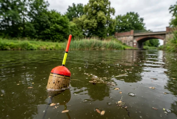 Weißfische fangen am kanal ohne teure rolle und ausrüstung – Detailansicht
