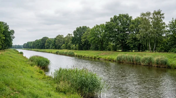 Weißfische fangen am Kanal ohne teure Rolle und Ausrüstung
