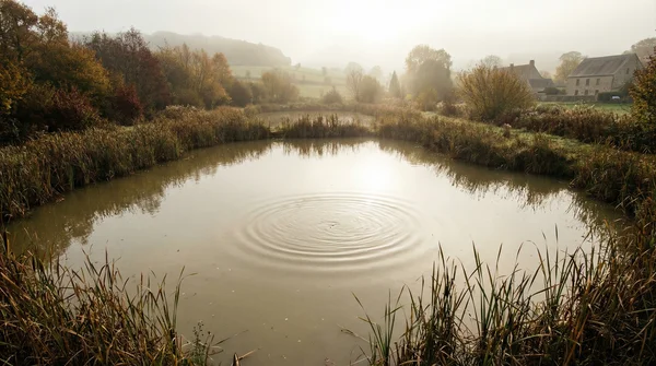 Spoon Farbe bei trübem Wasser: So fangen Sie Forellen bei schlechter Sicht