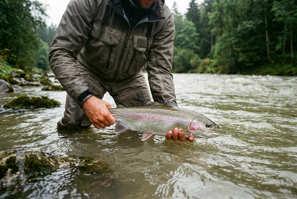 Welche spoon farbe bei trübem wasser für forellen am wirkungsvollsten in der Praxis