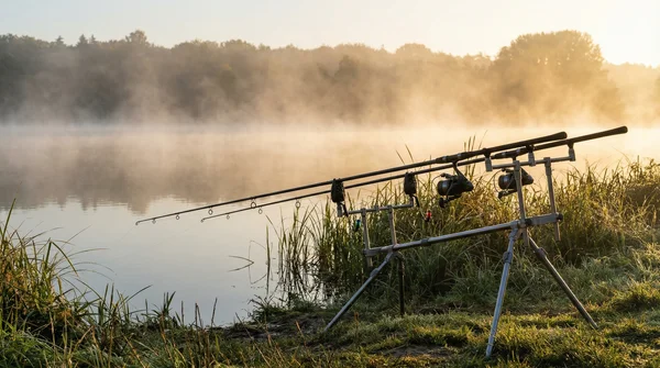 Freilaufrolle oder Spinnrolle: Der ultimative Vergleich beim Karpfenangeln