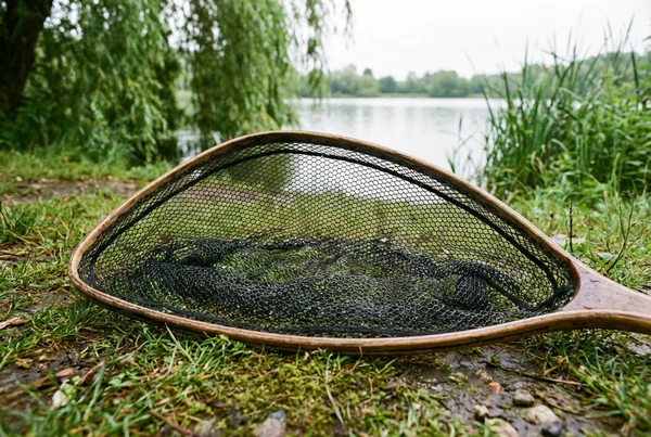 Welchen kescher brauche ich zum spinnfischen vom ufer – Detailansicht