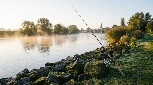 Welchen Kescher brauche ich zum Spinnfischen vom Ufer? Der ultimative Ratgeber