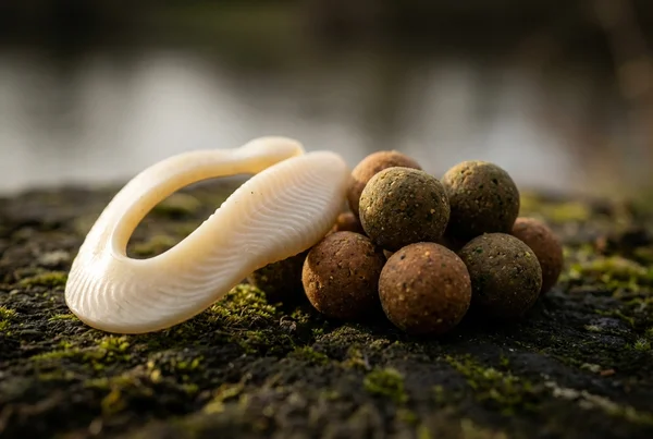 Wie jigköpfe für forellen an power eggs und softbaits richtig montieren – Detailansicht