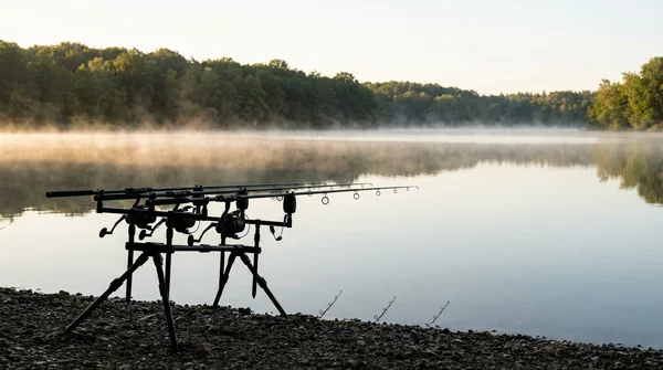 Rod Pod oder Dreibein Rutenhalter für das Karpfenangeln im Vergleich