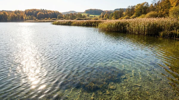 Wie die Polarisationsbrille beim Angeln Fische im Wasser sichtbar macht
