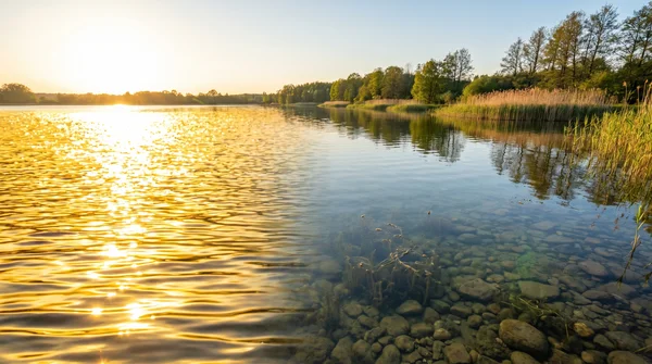 Warum eine Polarisationsbrille beim Angeln so wichtig ist: Mehr Durchblick am Wasser