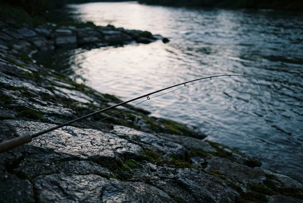 Wie wobbler für zanderangeln im fluss richtig führen – Detailansicht