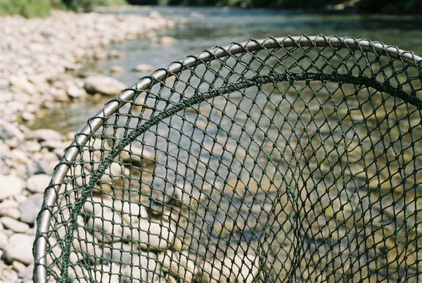 Welcher setzkescher ist am besten für lebende fische geeignet – Detailansicht