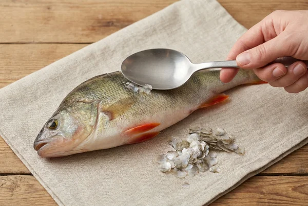 Beste technik zum fischschuppen ohne die küche zu verwüsten in der Praxis