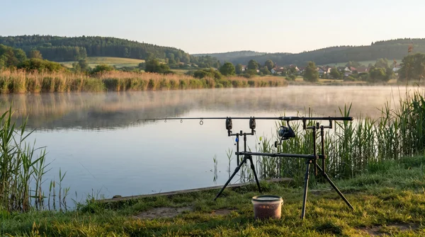 Wann verwendet man ein Laufblei beim Karpfenangeln? Die besten Taktiken