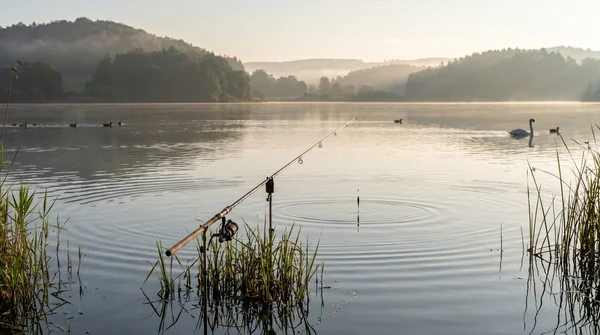 Richtige Posenmontage für stehende Gewässer selber binden: Anleitung für Angler