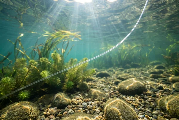 Fluorocarbon vorfach beim hechtangeln notwendig oder nicht – Detailansicht