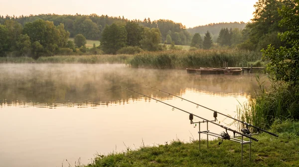 Laufblei montieren für Friedfische: Schritt-für-Schritt zur perfekten Grundmontage