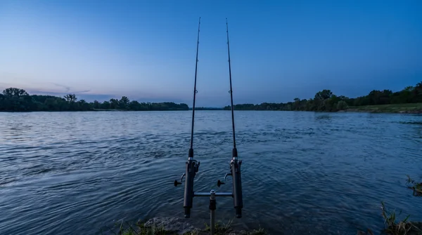 Montage für Grundangeln auf Aal im Fluss: Erfolgreiche Setups und Tipps