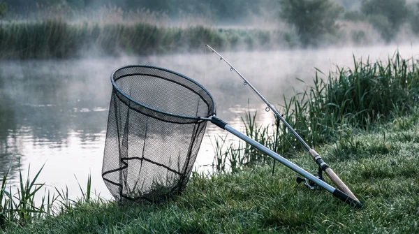 So wählen Sie den richtigen Kescher für jeden Zielfisch aus