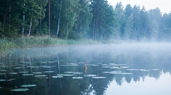 Welche Pose für Hecht mit Köderfisch? Der ultimative Ratgeber
