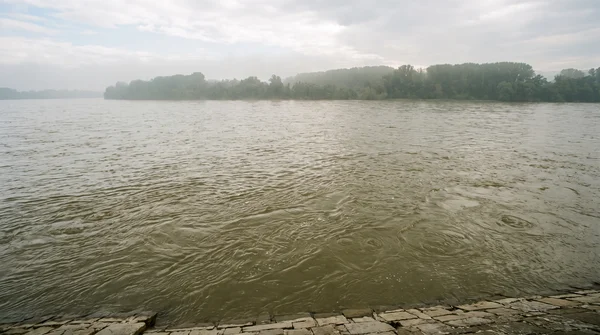 Beste Zander Köder für trübes Wasser im Fluss: Die ultimative Auswahl