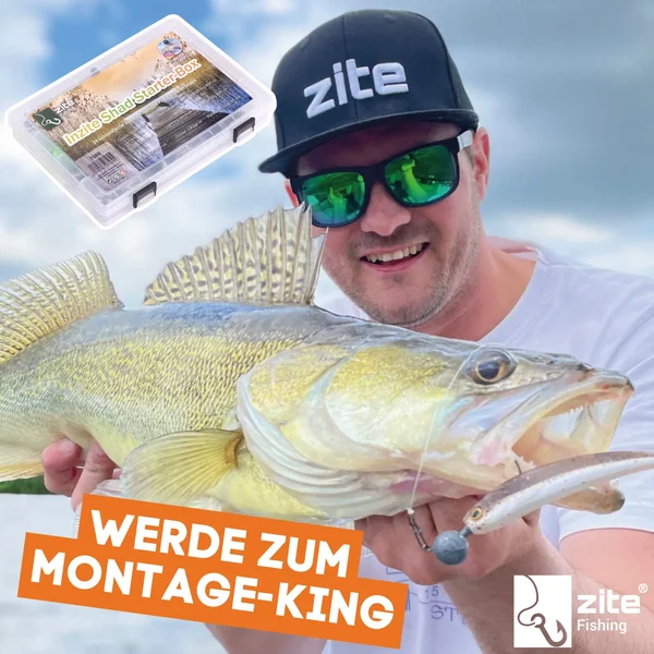Zander Gummifische Starterbox 24 Inzite Shads 6 Jighaken 24 Karabiner Snaps mit Tacklebox_auswahl6
