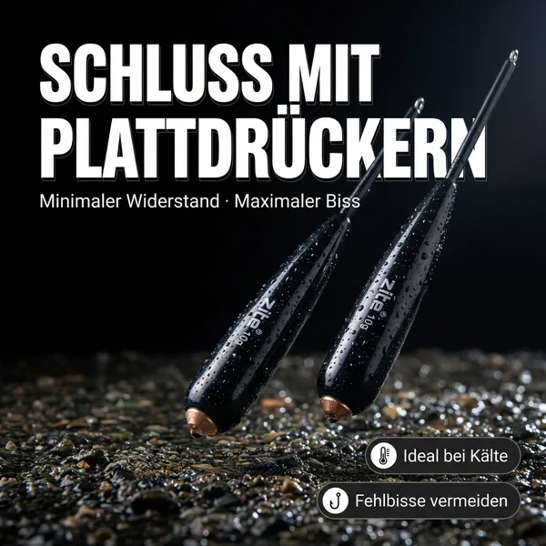 Zite Fishing Bodendetektor Posen 10 g 2 Stück _auswahl4