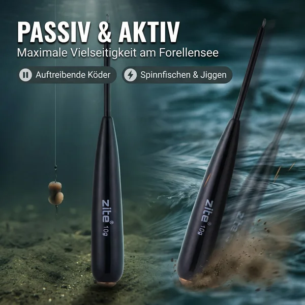 Zite Fishing Bodendetektor Posen 10 g 2 Stück _auswahl7