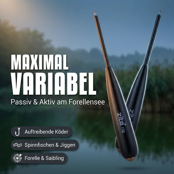 Zite Fishing Bodendetektor Posen 10 g 2 Stück _auswahl9