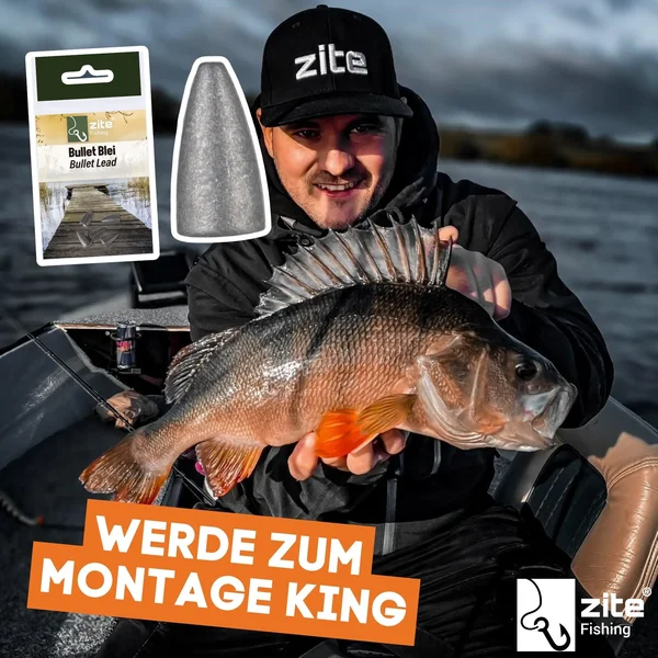 Zite Fishing Bullet Blei Angelgewichte 7g 5 tlg. ideal für Barsch & Zander_auswahl6
