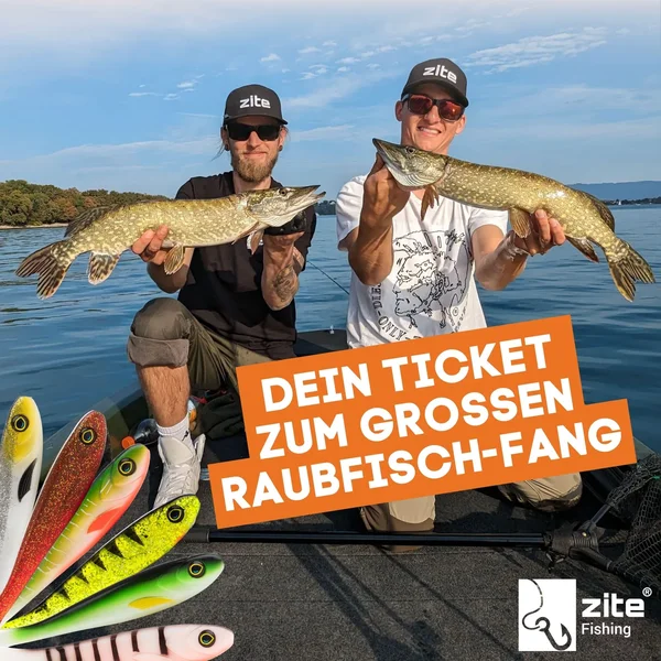 Zite Fishing Gummifisch Inzite Flanker 6er 18,5 cm Set_auswahl6