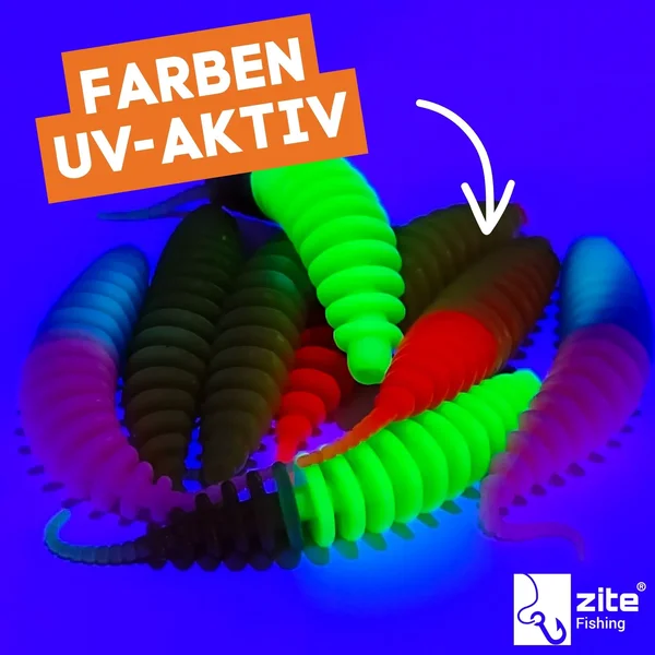 Zite Fishing Biggle Worm Schock Mix Knoblauch 6,5 cm 8 Stück_auswahl2
